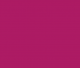 Quisque gravida luctus