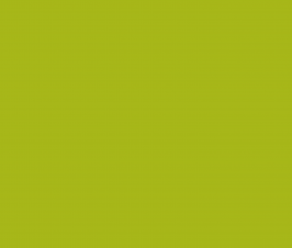 Pellentesque tempus semet