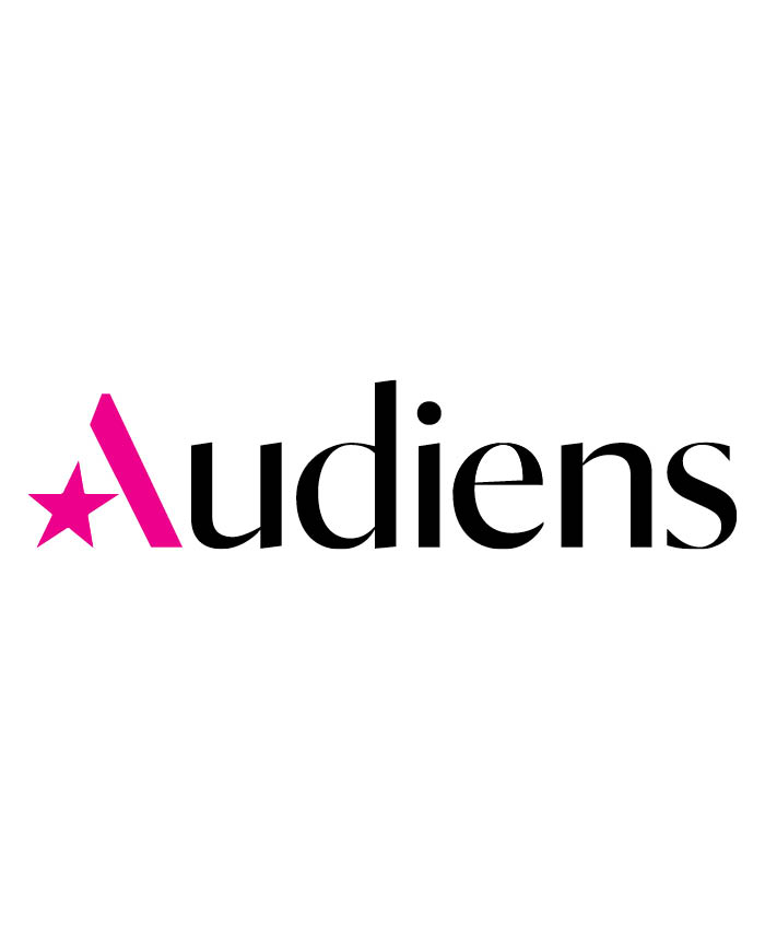 17_audiens
